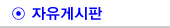 자유게시판